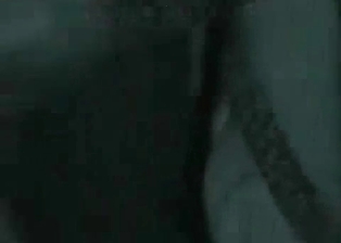 Stallion in the night bestiality porn