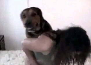 Working girl receives end in a dirty animal XXX
