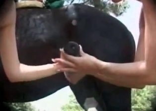 Nice and big wiener of a hot stallion